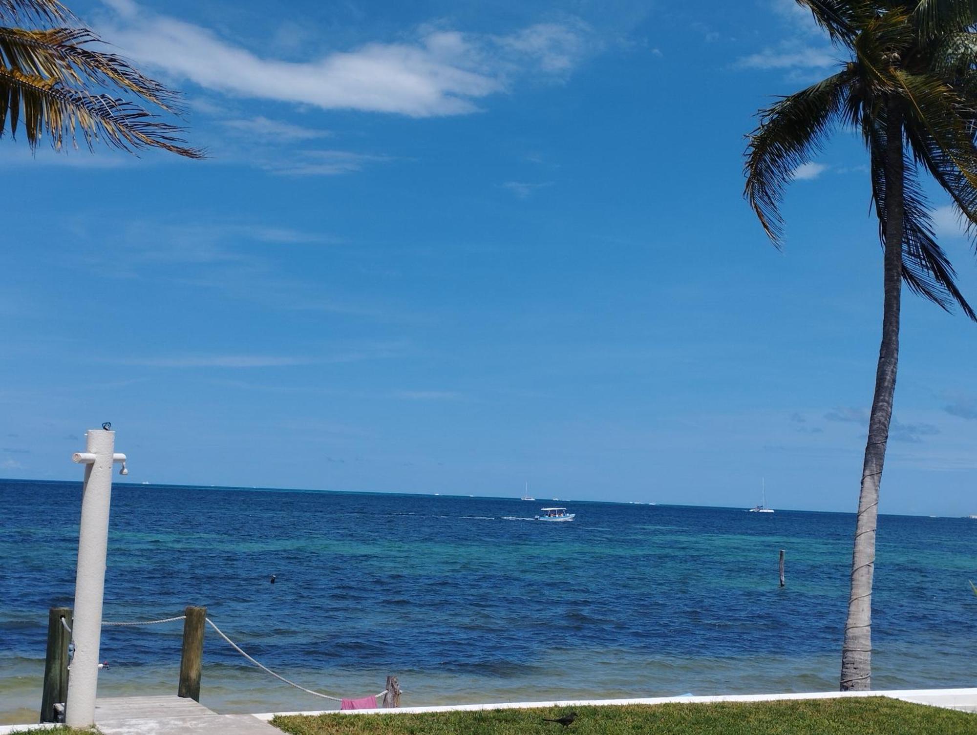 Cancun Ocean View Flamingo Plus 외부 사진